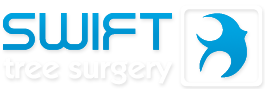Swift Tree Surgery